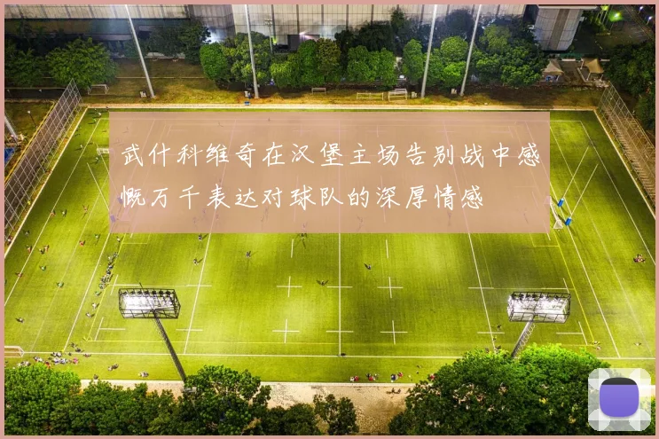 武什科维奇在汉堡主场告别战中感慨万千表达对球队的深厚情感