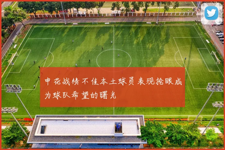 申花战绩不佳本土球员表现抢眼成为球队希望的曙光