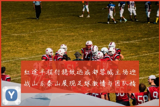 红途半程行稳致远成都蓉城主场迎战山东泰山展现足球激情与团队精神